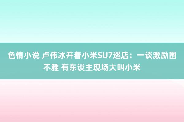 色情小说 卢伟冰开着小米SU7巡店：一谈激励围不雅 有东谈主现场大叫小米