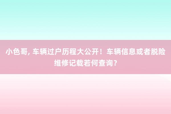 小色哥， 车辆过户历程大公开！车辆信息或者脱险维修记载若何查询？