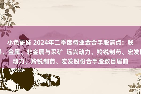 小色哥妹 2024年二季度待业金合手股清点：联接在制药、电气开导、金属、非金属与采矿  远兴动力、羚锐制药、宏发股份合手股数目居前