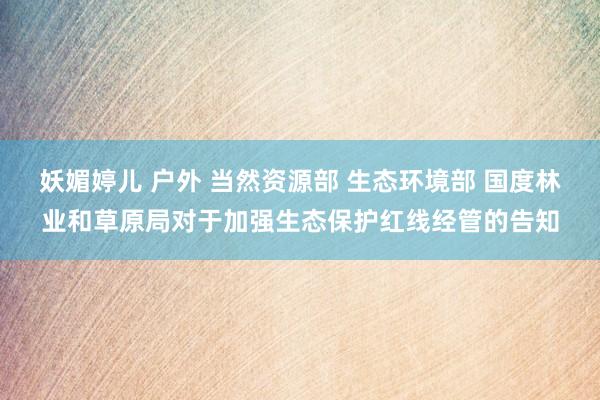 妖媚婷儿 户外 当然资源部 生态环境部 国度林业和草原局对于加强生态保护红线经管的告知