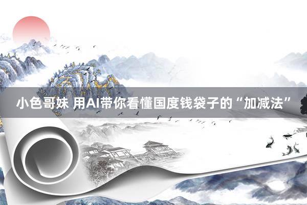 小色哥妹 用AI带你看懂国度钱袋子的“加减法”