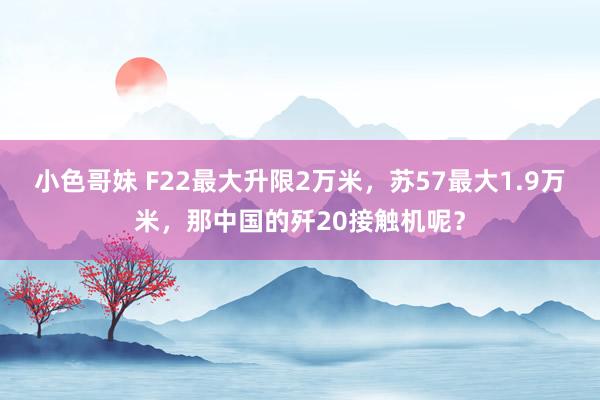 小色哥妹 F22最大升限2万米，苏57最大1.9万米，那中国的歼20接触机呢？