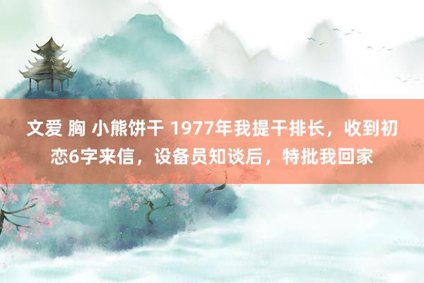 文爱 胸 小熊饼干 1977年我提干排长，收到初恋6字来信，设备员知谈后，特批我回家