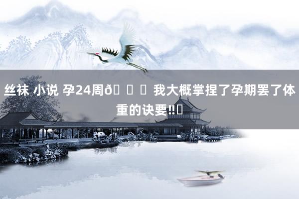 丝袜 小说 孕24周📝我大概掌捏了孕期罢了体重的诀要‼️